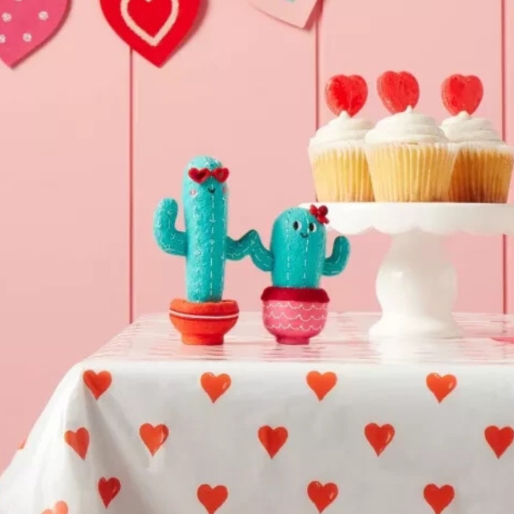5 for $15 -  Target 🌵Spritz Valentines 2025 Cactus